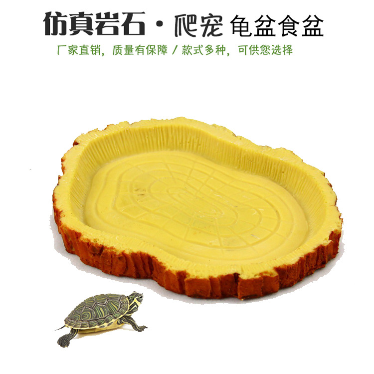Fábrica de orugas cuenca de agua cuenca de alimentos tortuga tierra tortuga de agua tortuga lagarto serpiente cuenca de agua pequeña cuenca de agua redonda pequeño plato de tortuga amarilla