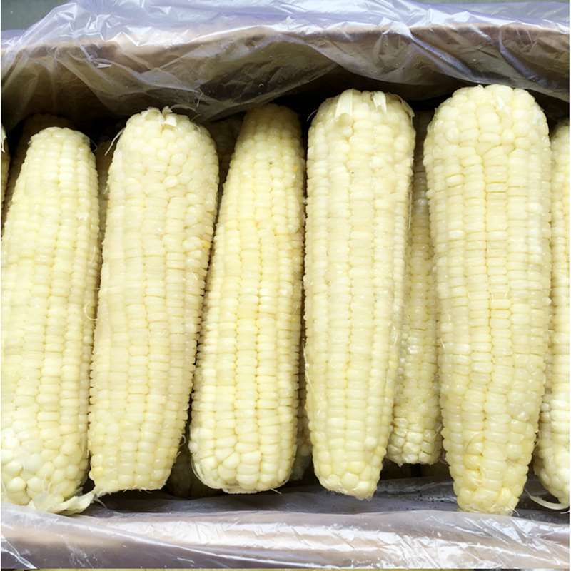 玉米棒糯玉米整箱东北速冻粘黏甜冷冻白大棒代发