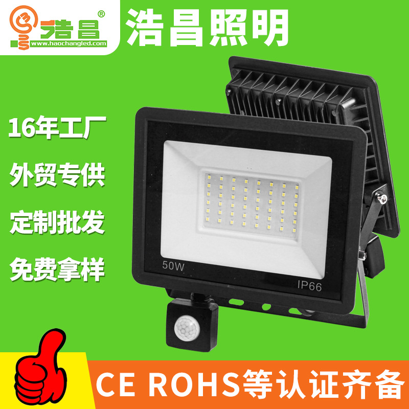 感应灯人体感应投光灯感应投光灯 户外感应投光灯防水感应投光灯