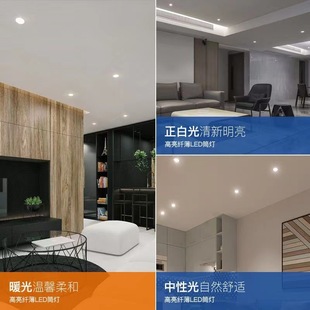 Three-color segmented dimming led panel light downlight embedded round hole light ceiling hole light home dark X20