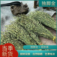 野采独脚金疳积草小孩儿广西独角金新货新鲜晒干疳积草500g野生