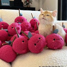 猫玩具增食欲磨牙洁齿清口气自嗨解闷逗猫棒猫薄荷宠物用品木天蓼