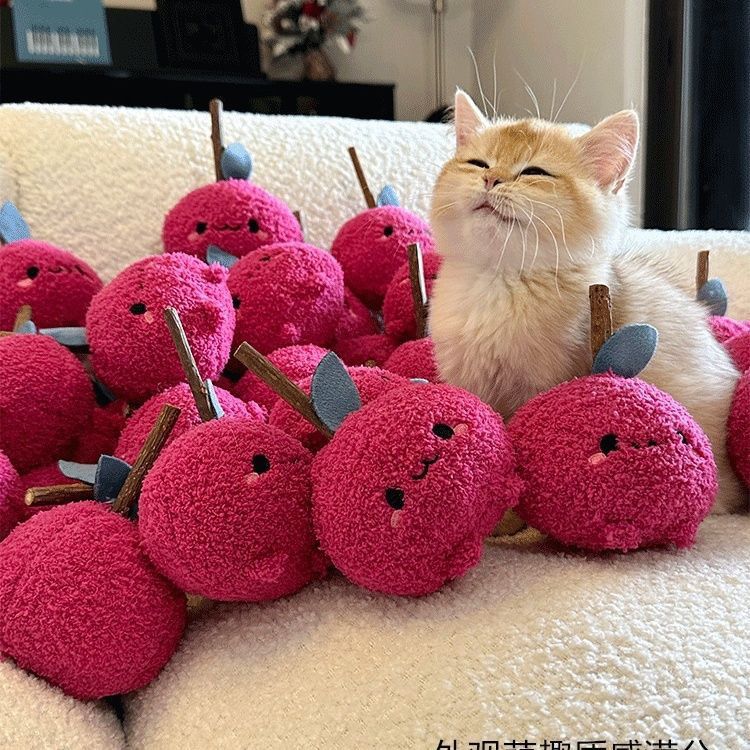 猫玩具增食欲磨牙洁齿清口气自嗨解闷逗猫棒猫薄荷宠物用品木天蓼