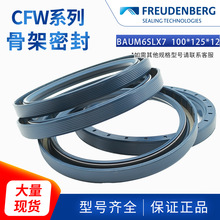 ��CFW�Ƶ�����Ǽ�BAM6SLX7 100*125*12 ACFW1�����ɏ����S��