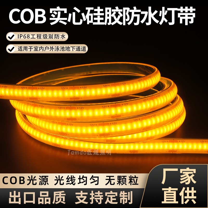 水下灯带COB可泡水实心硅胶低压24V水底鱼池户外IP68自粘硅胶灯带