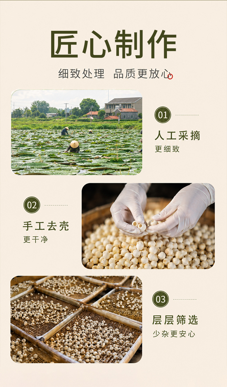 Dried Gorgon Fruit Seeds Qian Shi 500g Suzhou Euryale Seeds for Soup and Congee key features