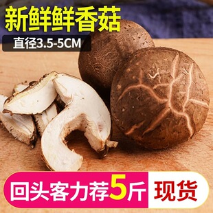 �r�����x���rС����500g���]�����خa���{���o��ζ�����ľ����