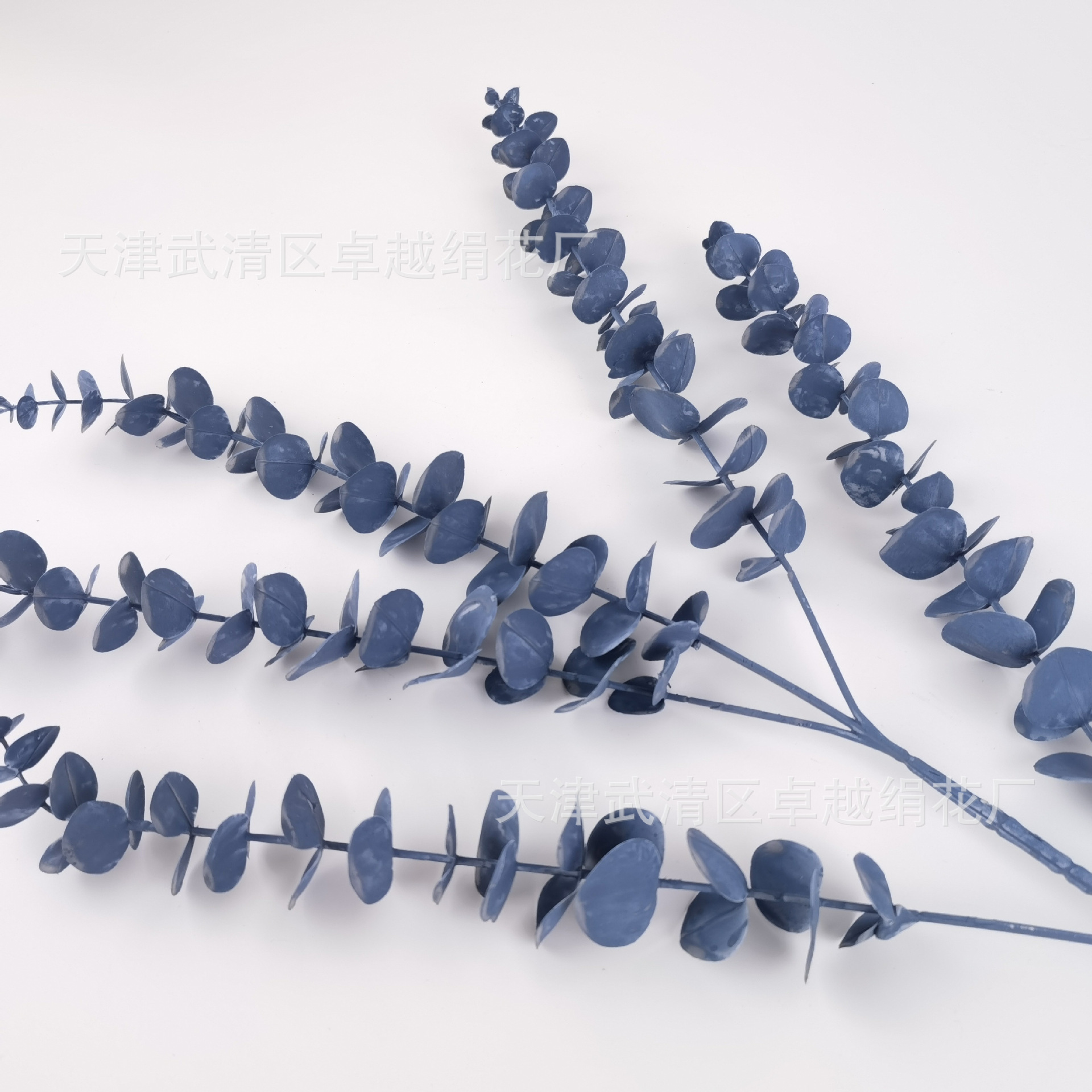 IMG_20210701_170019_edit_10084