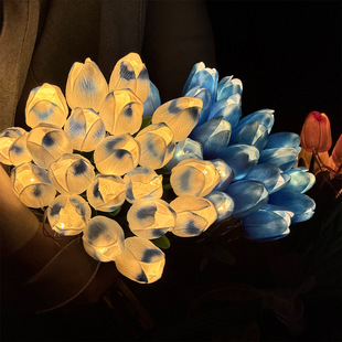 ��������滨Сҹ���������l�⻨���Ҿ��b[�����˹�DIY�Շ���