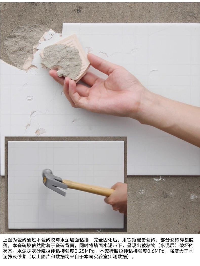 8de034d2-8179-4d86-8e37-62a94b50578e.jpe