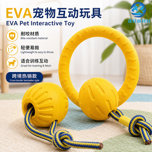 �F؛EVA�l�ݹ����^���͌����ҧ��ҧ������ӖȮ���h�w���R�d