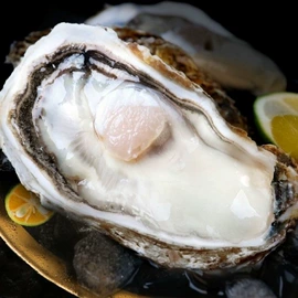 月饼;传统糕点;软糖