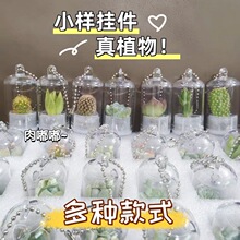 ���ⳬ�Ȓ��耳׿�΢�s���^����Y��������������С����͸���ɐ�