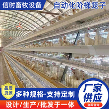 A型阶梯蛋鸡笼自动化源头厂家 阶梯蛋鸡笼热镀锌鸡舍家用养殖场设