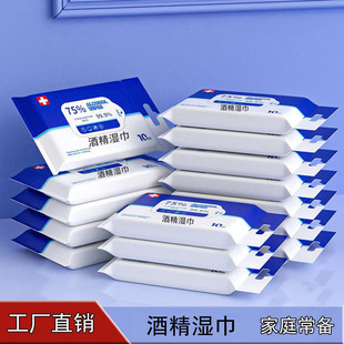 10 Pieces of Extra-Large and Thickened Wet Wipes, 75% Alcohol Wipes, Cleaning and Care Wipes, Small Pack Wet Wipes