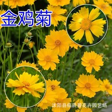 uջN  ļNҰջNlͥԺ@̾GN