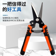 ��֦������|����·�S�����늹�����;�ք��FƤ����ʡ���FƤ��