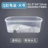 [White] Large size + with drainage holes