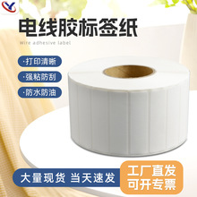 F؛늾z˺ A4W˺N |늾˺ ˺