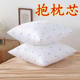 磨毛沙发抱枕芯汽车办公室卧室靠垫芯十字绣芯子404550556065包邮