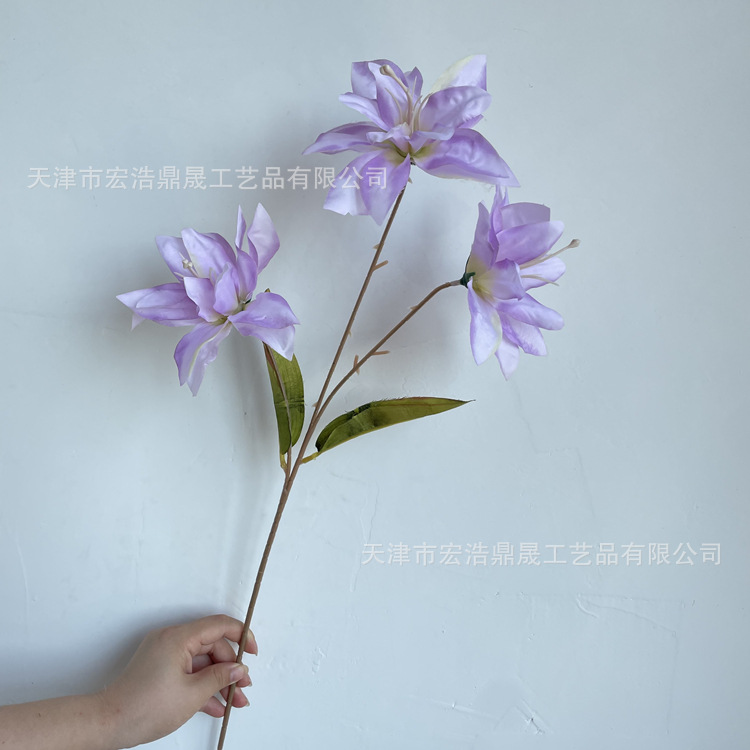 微信图片_202208111655478_副本