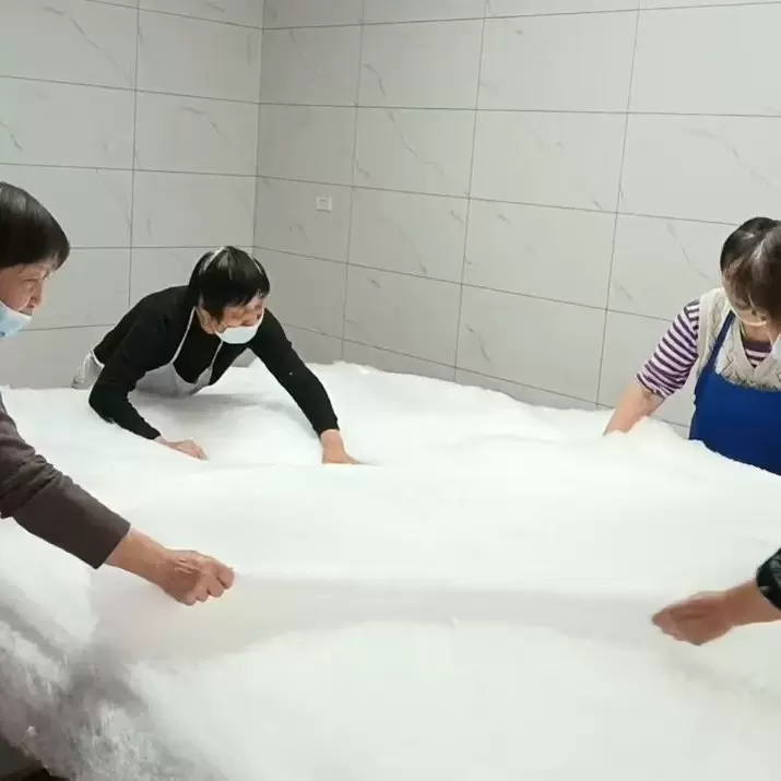 桑蚕丝被桑蚕丝光胎春秋夏凉被冬被结婚被儿童被子母被批发定制