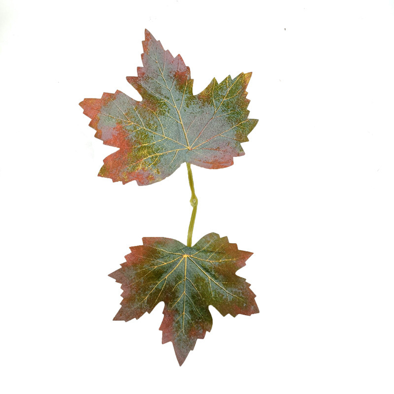 realistic maple leaf