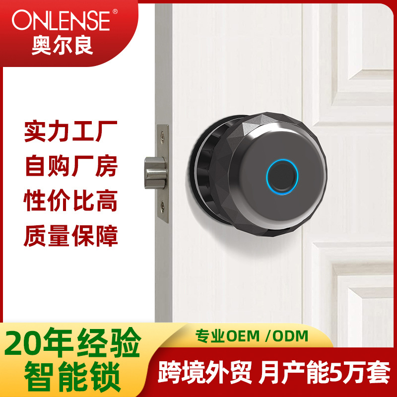 智能球形指纹锁涂鸦室内木门球形锁智能锁跨境专供北美电子锁
