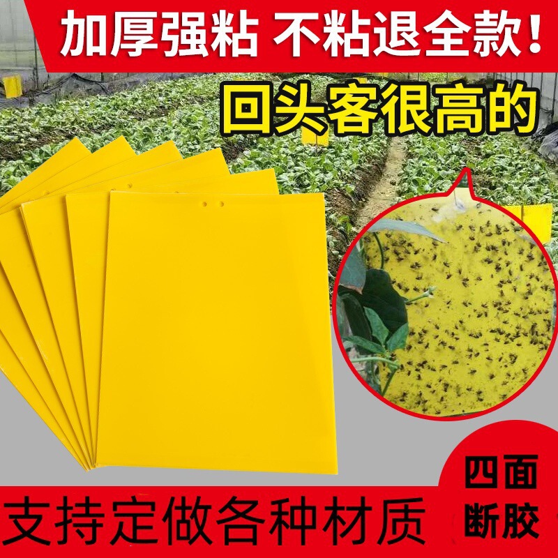 Yellow Sticky Trap Double-Sided Insect Trap Sticker for Catching Small Flying Insects, Fruit Flies, Orchard Mosquitoes, Flies, and Greenhouse Flies