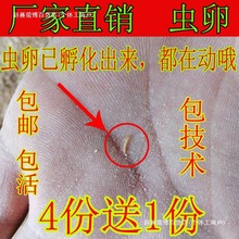 �S���x������x�x�у��|�N�x�ѡ��N�x������x�x�ѡ����]�������g