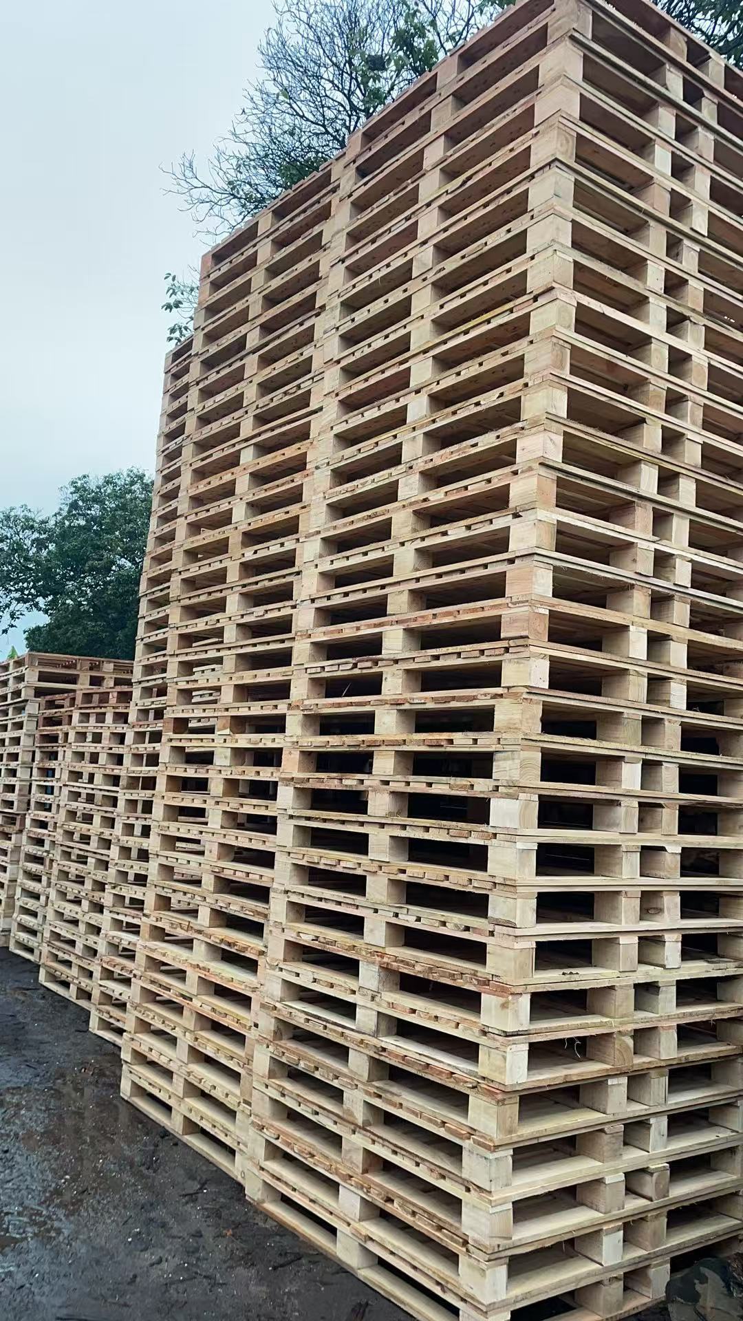 微信图片_20250308125744