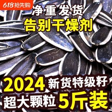 2024؛Ѵwԭζζ5blʳ