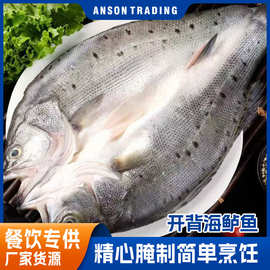 新鲜开背白蕉海七星鲈鱼石斑鱼海鲜活冷冻水产批发去鳃去鳞去内脏