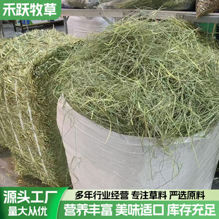 2025�ص�����|�������廨��ţ���R�����R�ɲ�����