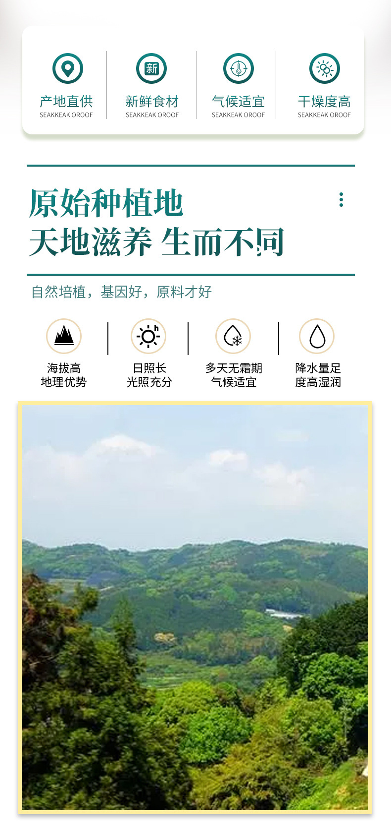 Dried Honeysuckle Flower Jin Yin Hua 500g Whole Dried Buds for Herbal Tea and Decoction overview