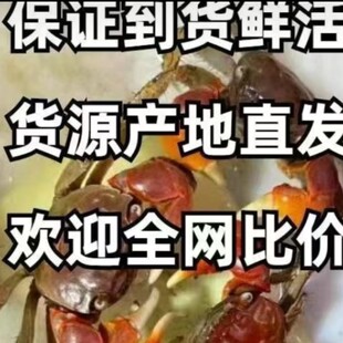 �t������з����С�з�����~���^�pз��ˮзԭ����ˮз��܊зˮ��