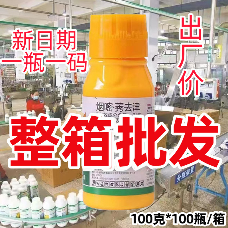 トウモロコシ畑の一年生雑草用の24％イムズイムジ除草剤、トウモロコシ苗後の除草剤、トウモロコシ専用除草剤|undefined