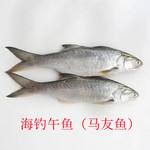 午鱼 海钓午鱼 马友鱼 冷冻午鱼    刺少肉多  肉质鲜嫩