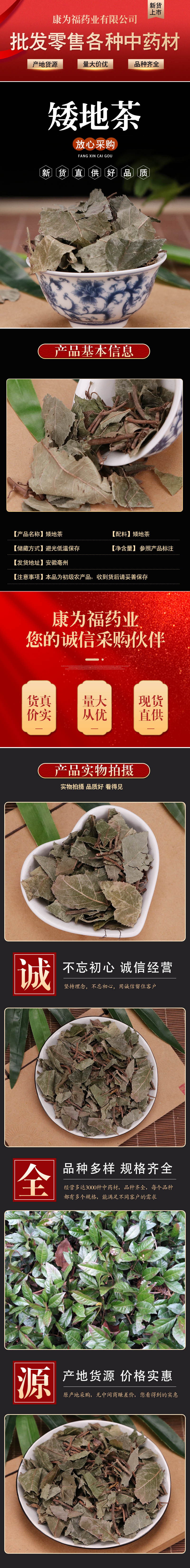 Ai Di Cha (Ardisia japonica) — Dried Chinese Herbal Leaf for Decoction & Tea overview