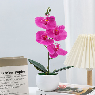 Phalaenopsis Potted Plant with Flowers Indoor Fresh Living Room Table Display Flower Ornaments Simulated Artificial Flowers Simulated Green Plants