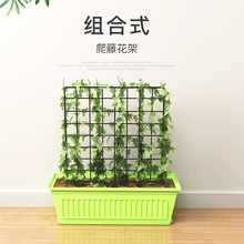 植物架子花支架花架爬藤架室内蔷薇月季攀爬铁线莲花盆支架阳台绿