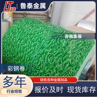 ��䓾� С�ݲʉT�����B��������\��䓰剺������� ���޲ʾ��ӹ�