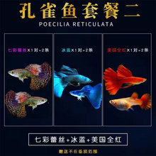 �������B�^�p�~С�͵�ˮ�~����~���N��ֳ�Ꭷ�~���w��ȸ�~���R