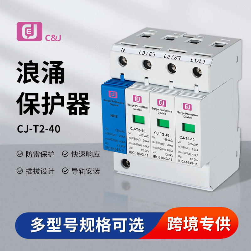 策佳电气CJ-T2-40KA 浪涌防雷击保护器C级家用避雷器开关电涌模块
