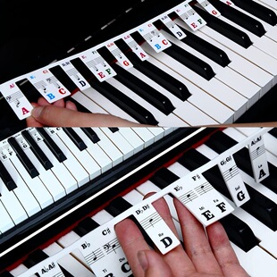 �¿���z��������NPiano Key Stickers��ٰ��I���W�������ָ��