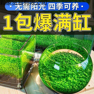 ˮ�N�����㌦�~�~��ǰ���ٳ�ƺ�N��ˮ�����쾰ţëˮ