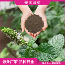 ���ܷN��ֲ��@�־G�����@ͥԺ���N���������׻��޸��������^��