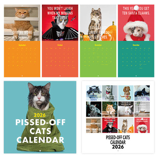 Cross-Border New Product 2026 Pissed-Off Cats Calendar Angry Cat Calendar Horse Riding Nail Style Ready for Sale