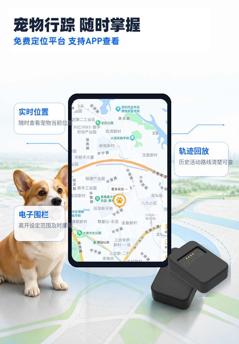 4G Pet GPS Tracker for Cats and Dogs, Anti-Loss, Beidou Real-Time Positioning, IP67 Waterproof, Rechargeable Pet Tracker