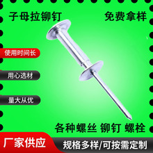 定制子母拉铆钉铝塑中空周转板箱循环包装箱把手铆接夹板抽芯铆钉